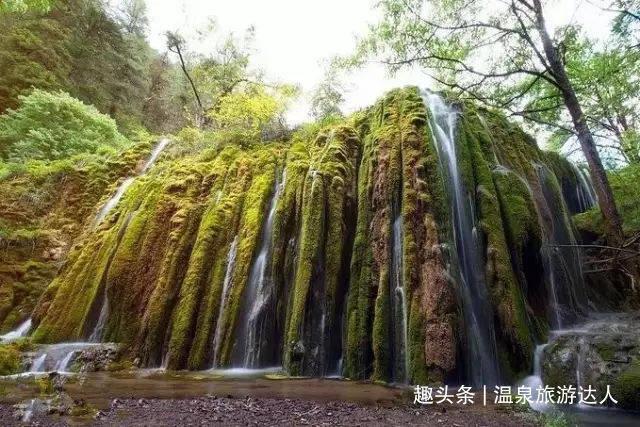 QQ企鹅